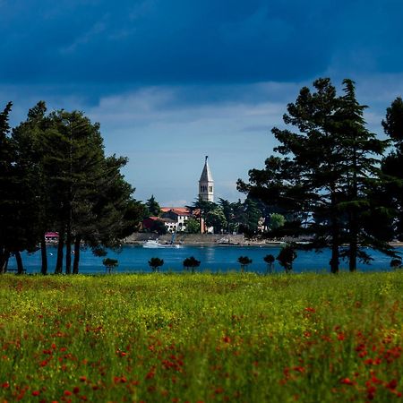 Belvedere Holidays Villas Новиград Экстерьер фото
